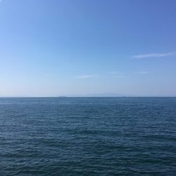 結局アジとツバス1匹